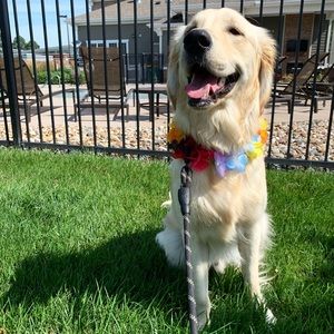 ORDERS WILL SHIP TOMORROW!!